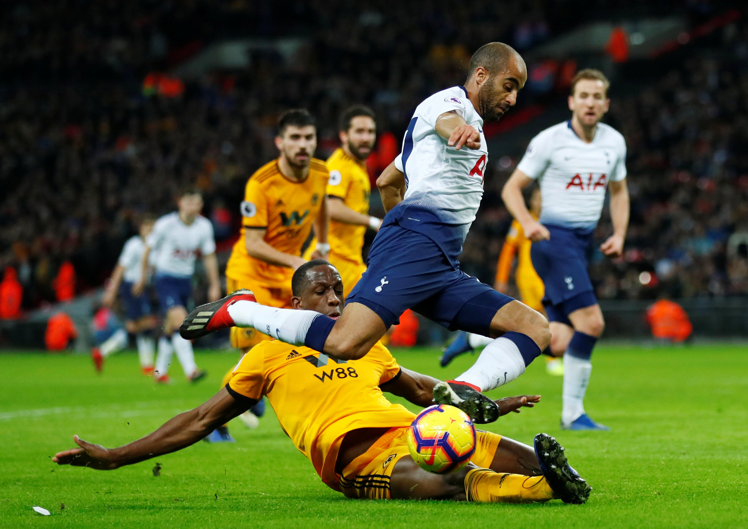 发展的球迷 发展的球迷